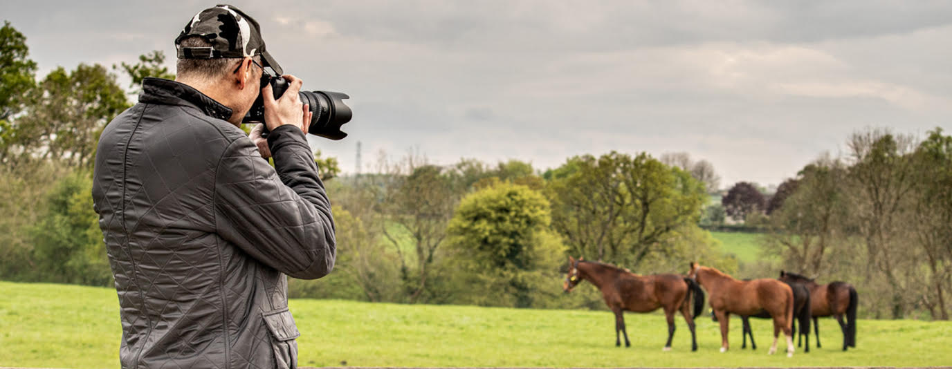 Horses | Cotswold House Photography